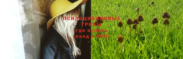 гашиш Белокуриха