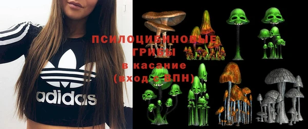 гашиш Белокуриха